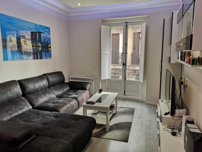 Room and living with bath and kitchen in Malasaña