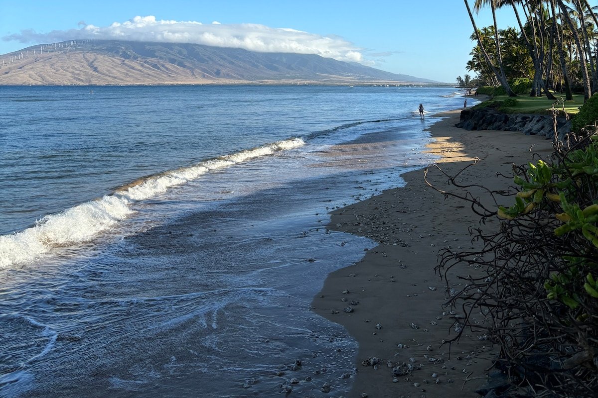 Whales and sunsets, front row seats every day! gallery image 5