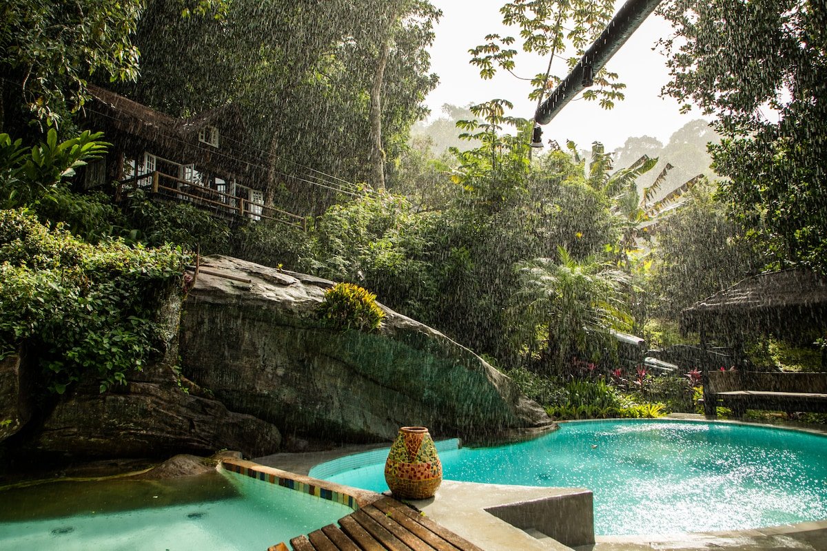 Rainforest Paradise 2 gallery image 3