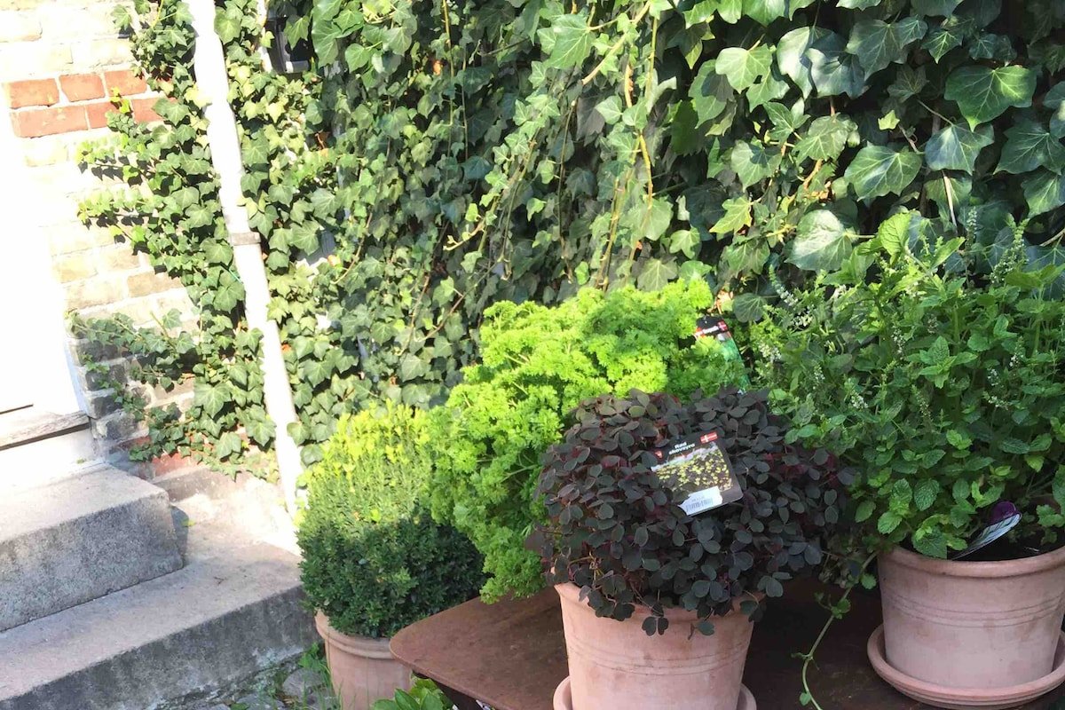 Town house in best area, 200sqm, private garden gallery image 5