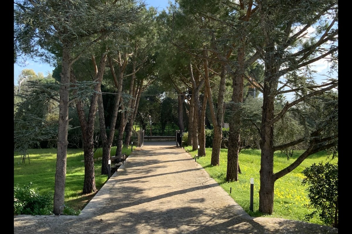 Villa Cavuzzi gallery image 4