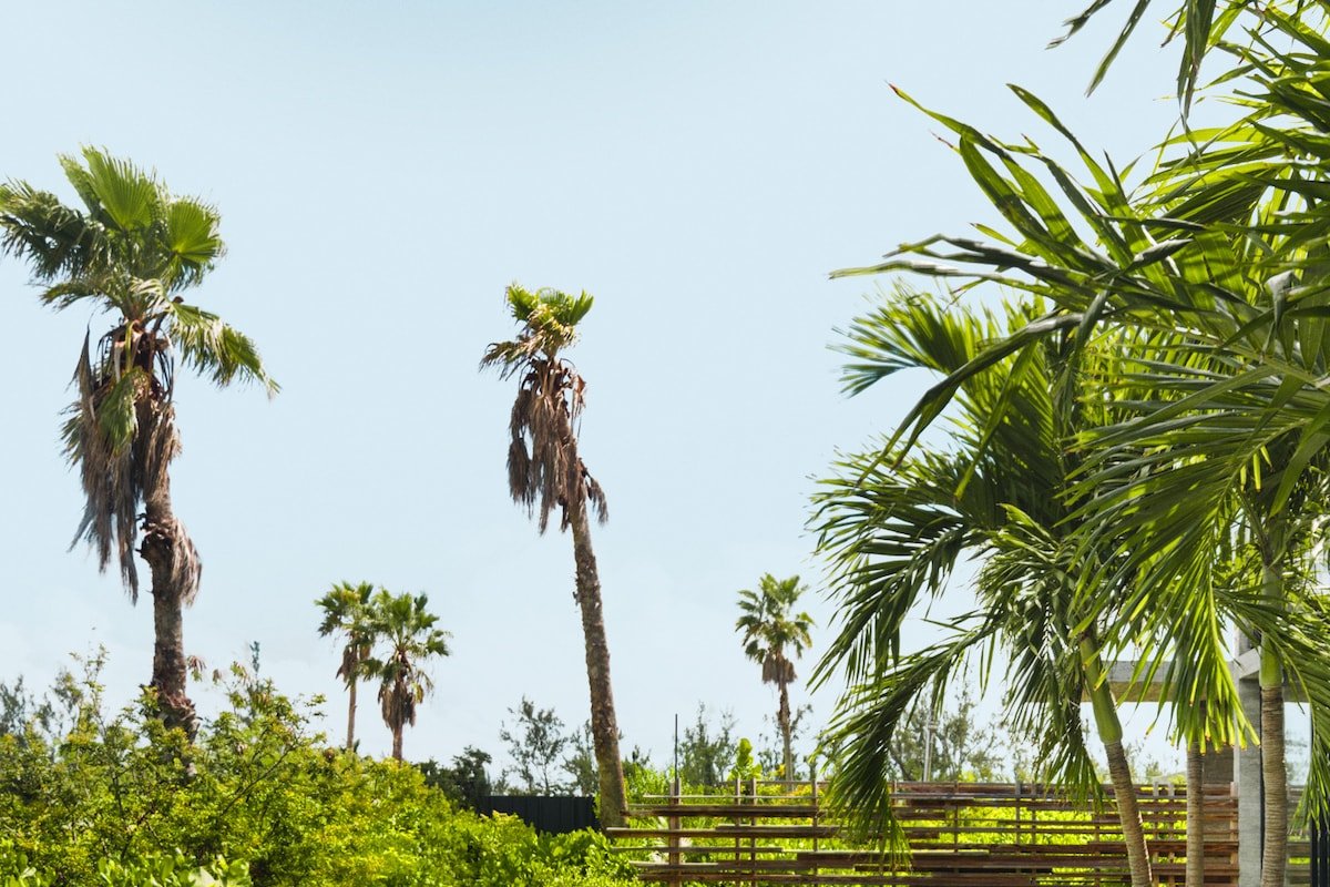 Villa Islander gallery image 3