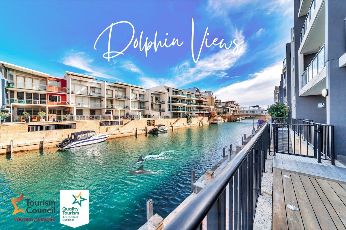 Dolphins At Your Balcony! Waterfront~Dolphin Quay gallery image 2