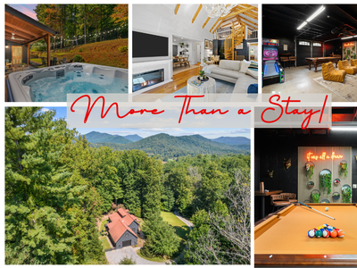 More Than a Stay: A Journey Into Nature & fun