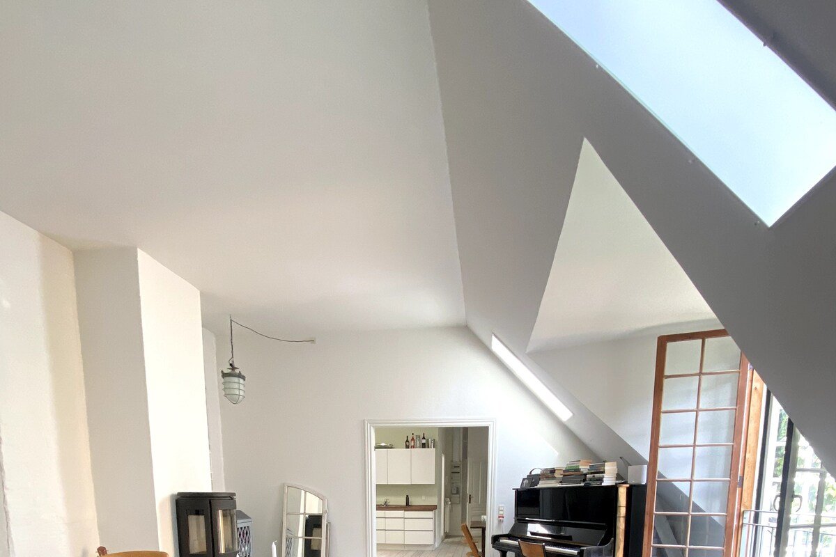 Nyhavn/central /Huge private & quiet roof terrace gallery image 5