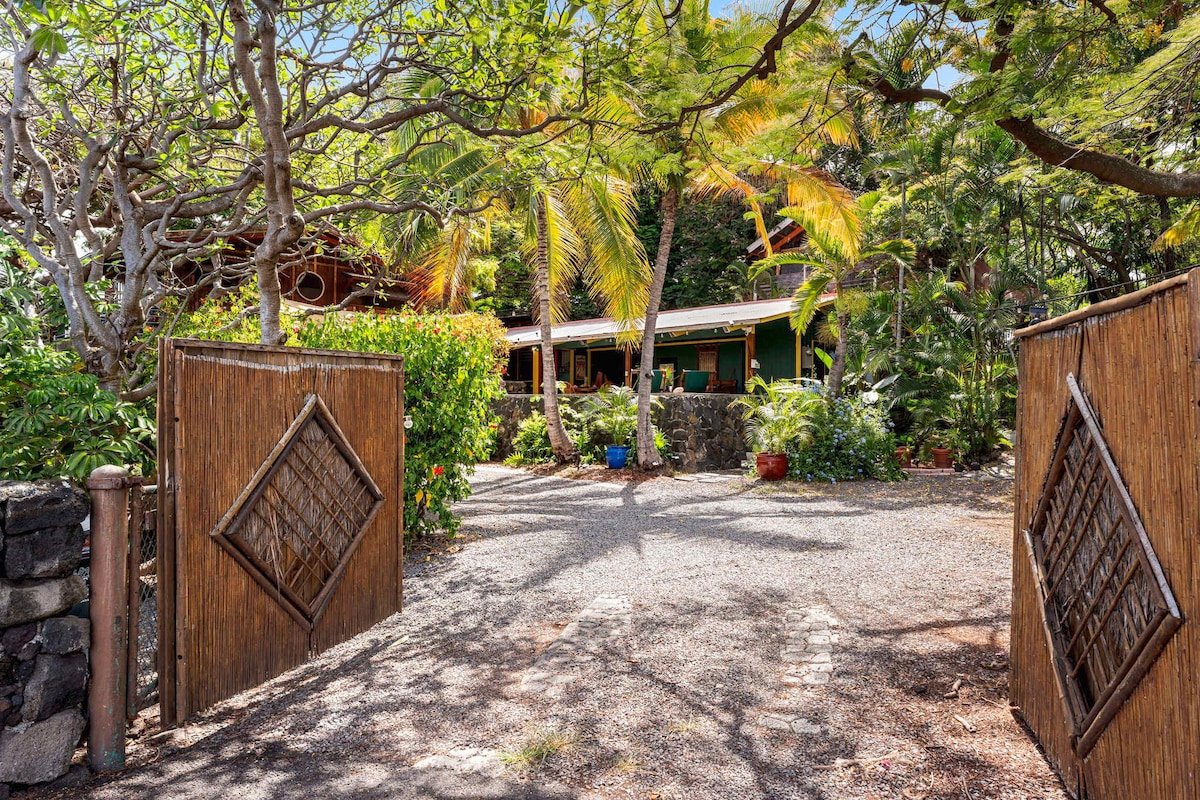 The Salty Jungle Kona gallery image 3