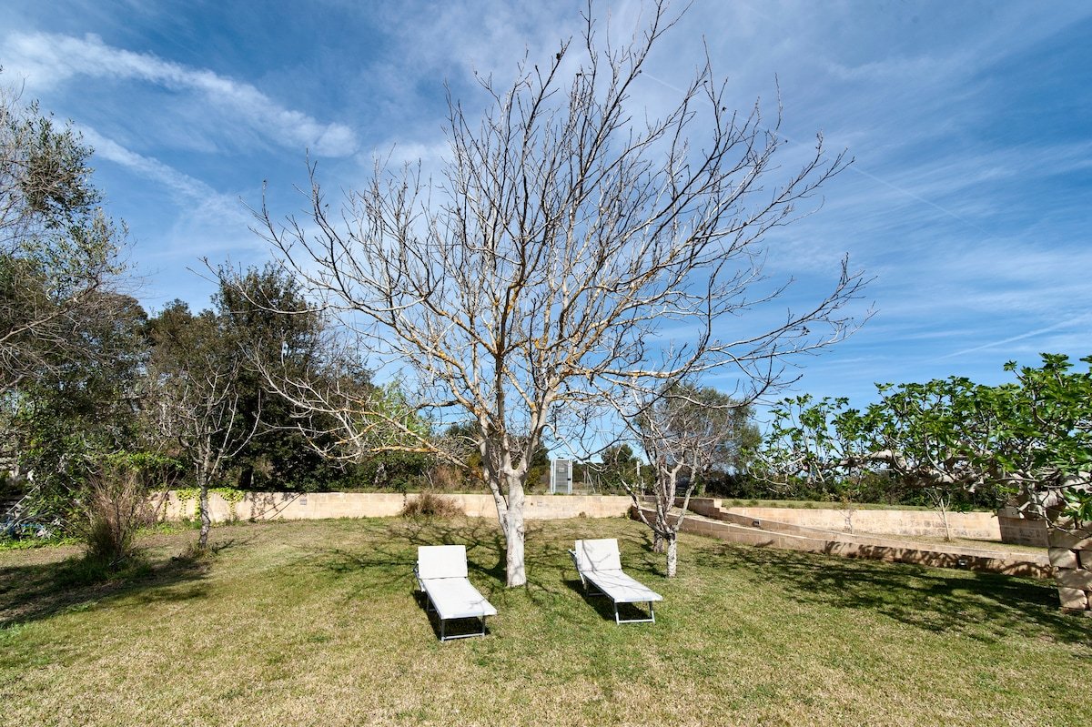 AgriHouse – Frontemare – parcheggio gratuito gallery image 3