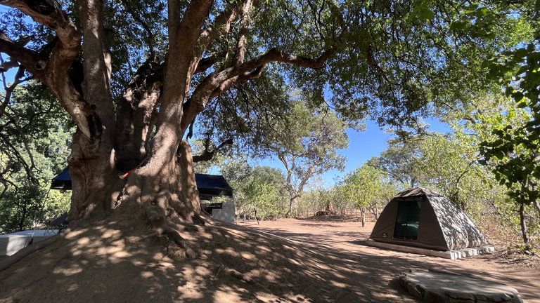 Harena River Camp Tents