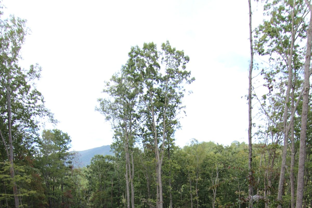 The Snookery ~ Refuge a Mountain w/ Hot Tub gallery image 4