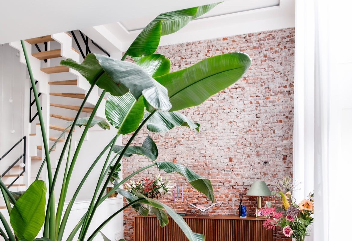 Old School-New Home gallery image 2