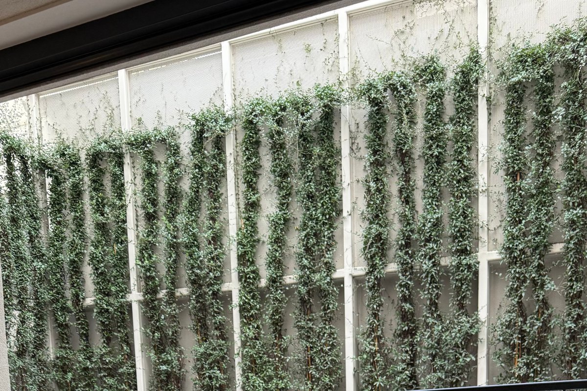 Ando’s Boutique Garden