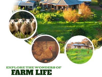 Rose Creek Farm Stay, Williams