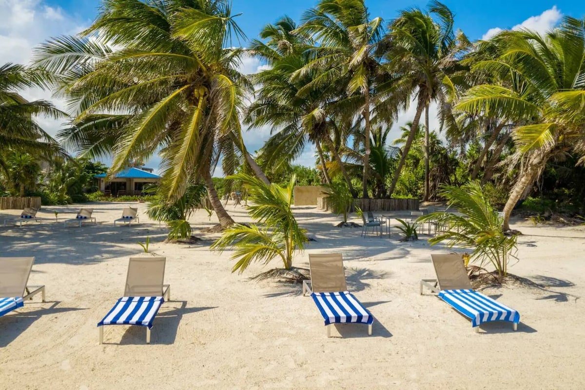 Enchanting Oceanfront Private Estate by ALOM gallery image 4