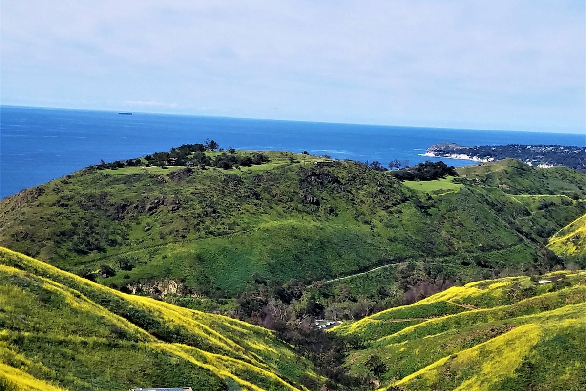 Sweeping Oc Vus-Cleaning Policy- Social Distancing gallery image 4