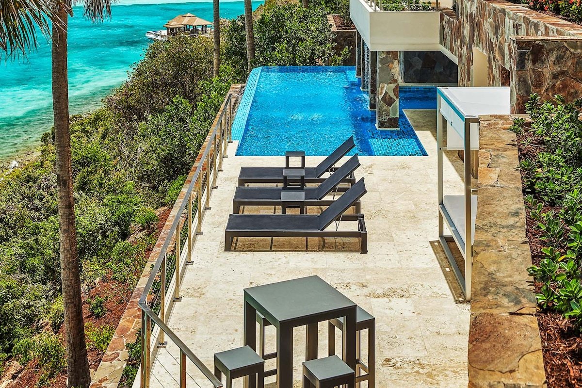 Montastraea gallery image 3