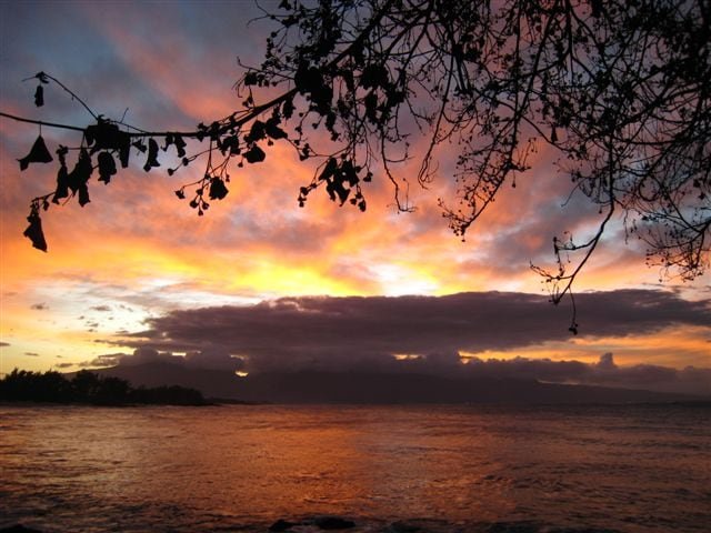 Oceanfront with pool & hot-tub gallery image 4