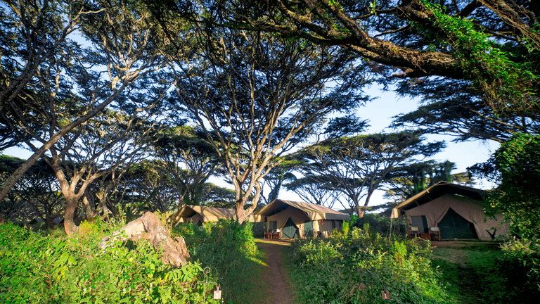Lemala Ngorongoro Tented Camp
