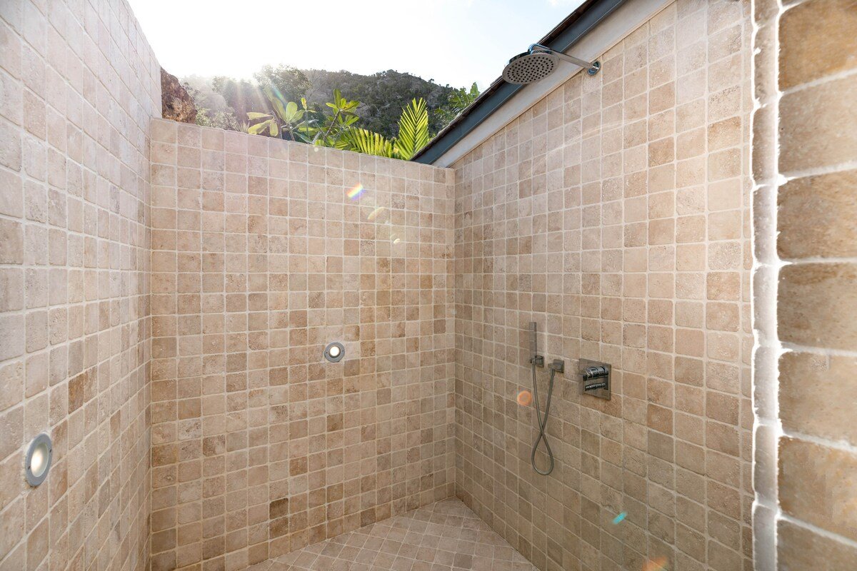 Teddy gallery image 3