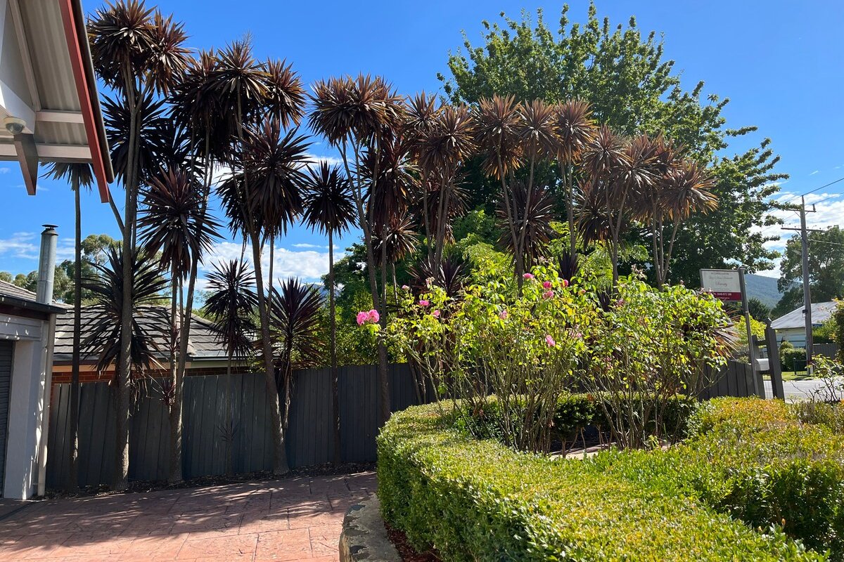 Serenity gallery image 5