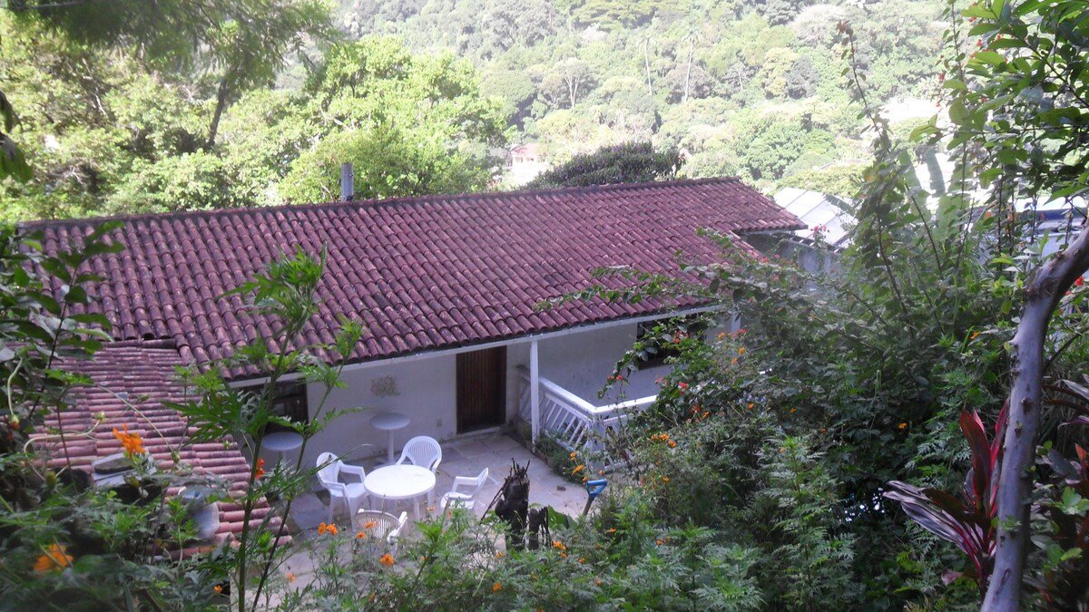 Enjoy Rio’s tropical forest at hand gallery image 4