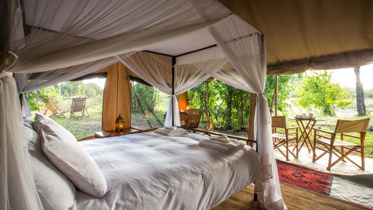 Sentinel Mara Camp Forest Facing Tents