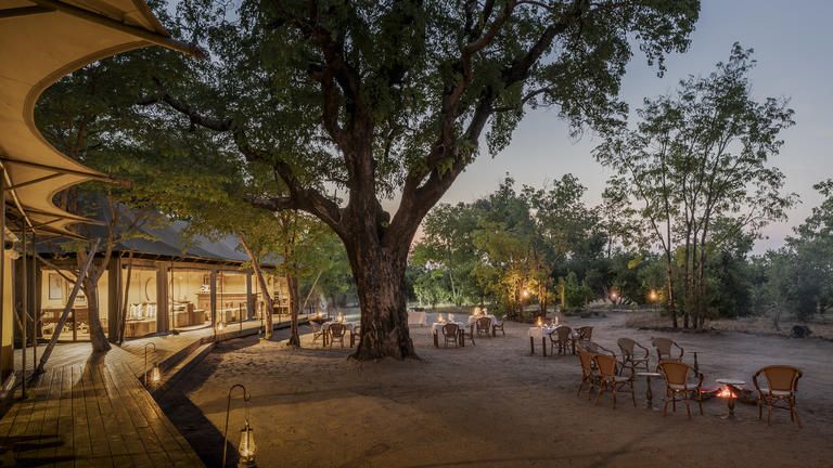 Wilderness Little Makalolo - A towering false mopane tree in the centre of the camp shades a separate dining and lounge area