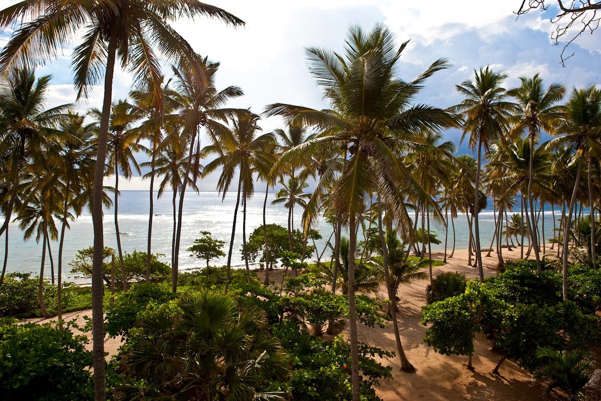 Flor de Cabrera gallery image 3