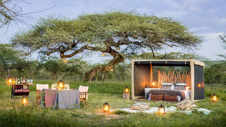 Mwiba Lodge, Auberge Safari Fly-Camping