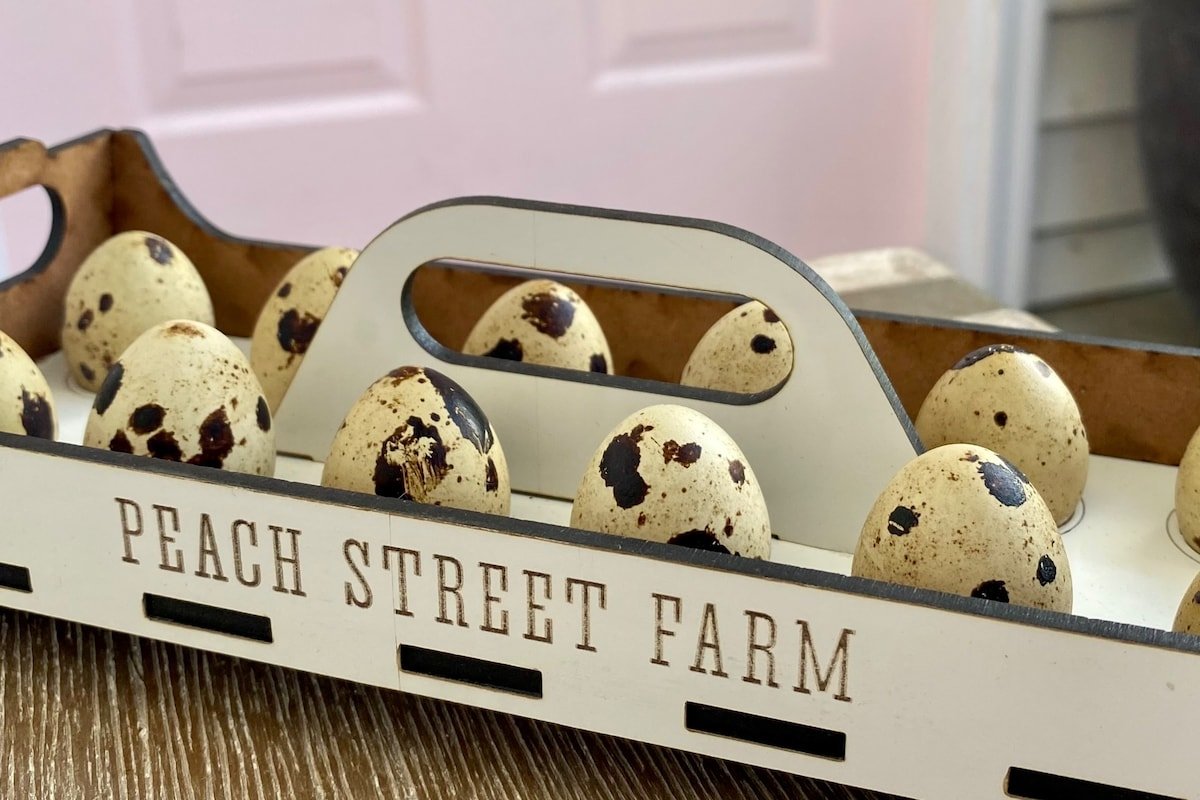 Peach Street Farm: Bunnies, Gardens, Playroom, A/C gallery image 5