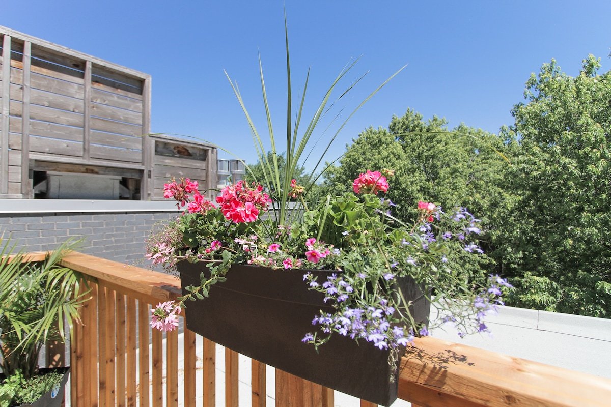 Duplex with rooftop terrace for friendly group gallery image 4