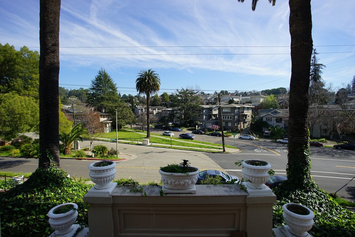 4 bedroom, 3 bathroom, huge, with palms and art gallery image 3