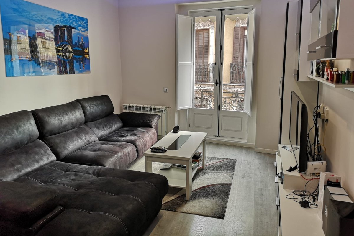 Room and living with bath and kitchen in Malasaña