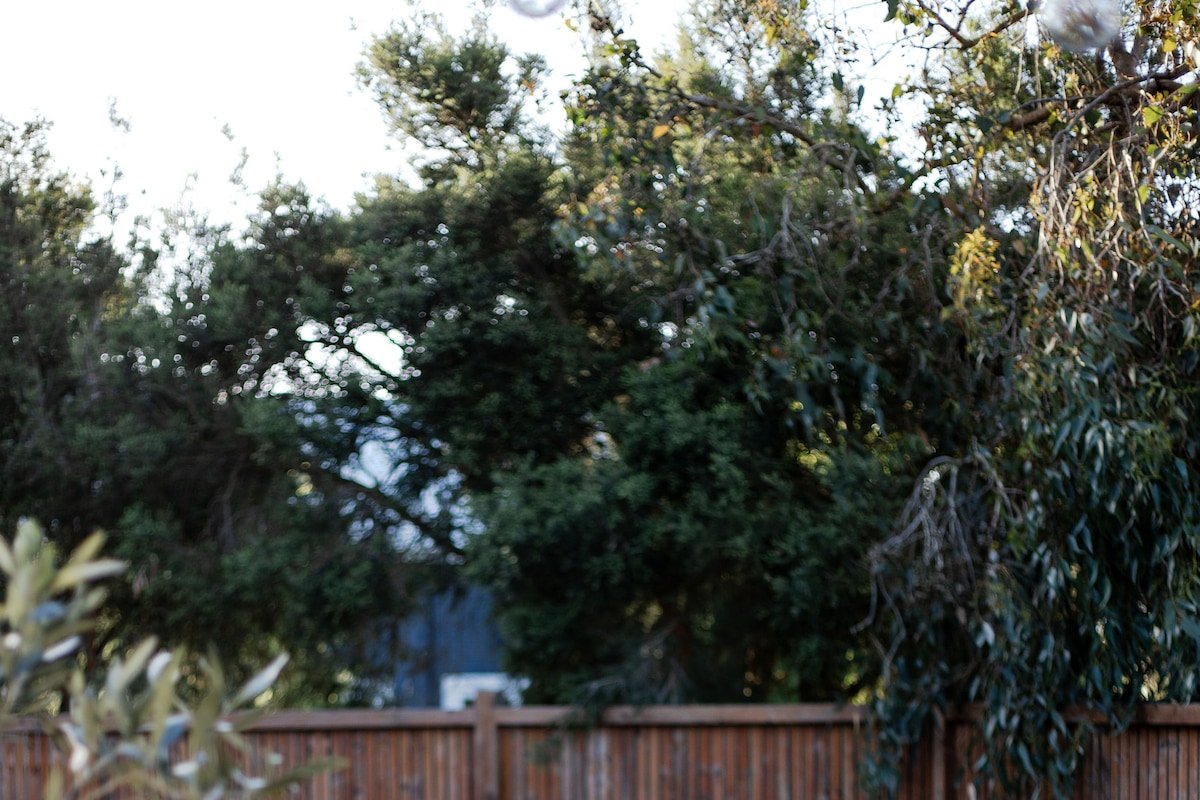 Quiet coastal escape with pool gallery image 4