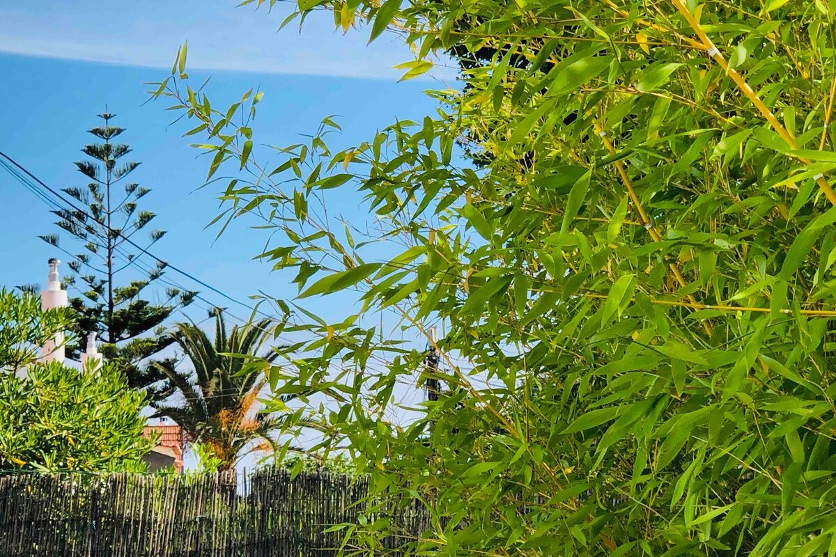 Aloha Beach House 3 Bedrooms in Parede Cascais gallery image 3