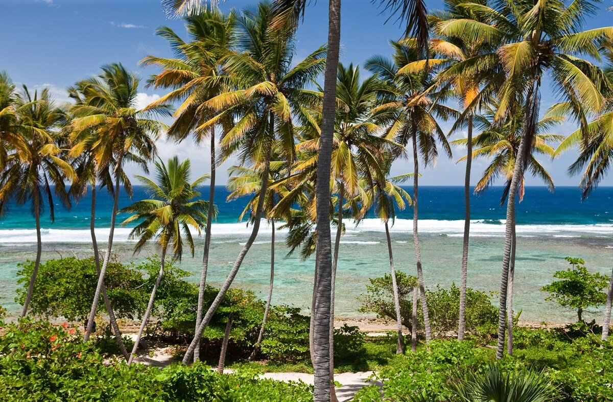 Flor de Cabrera gallery image 5