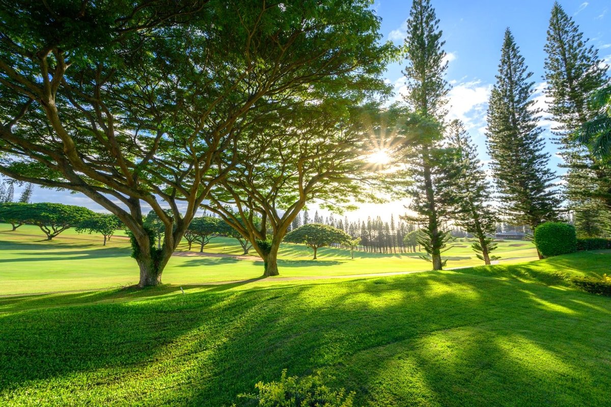 Kapalua Golf 14P6 | FREE CAR | KBM Resorts gallery image 2