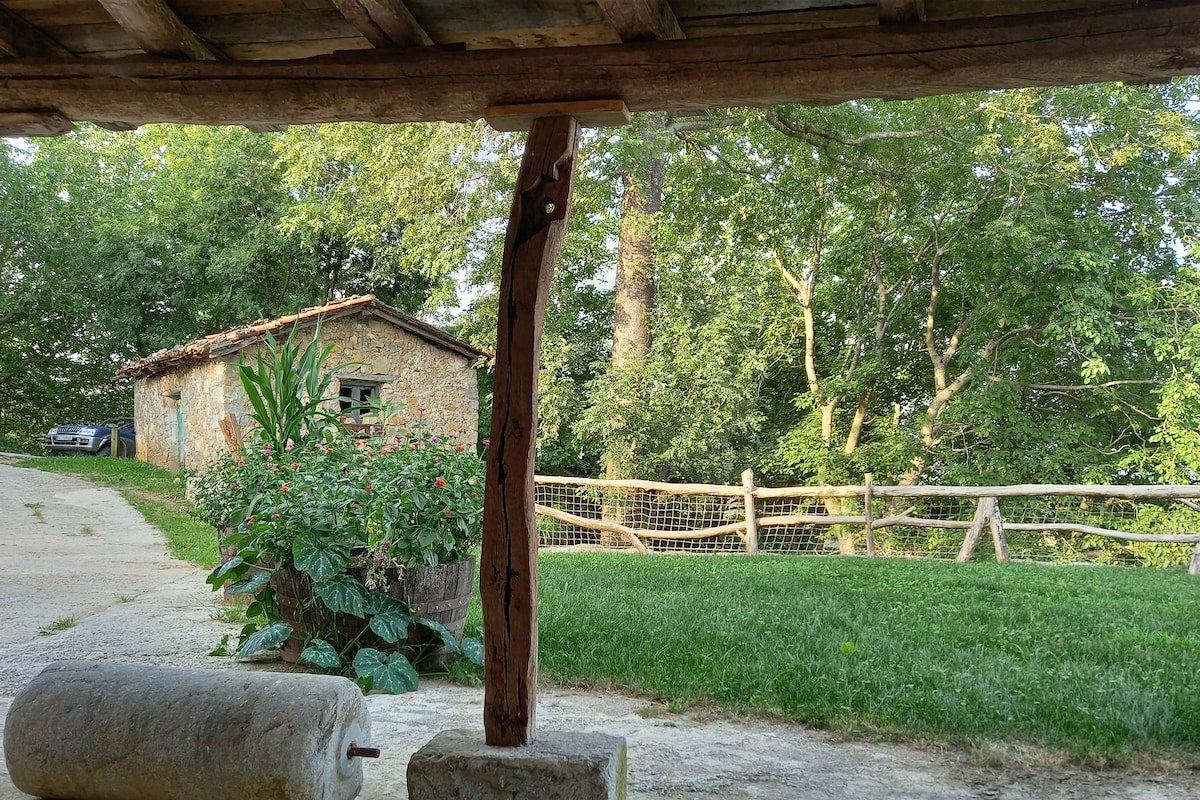 Naturaleza a los cuatro vientos.Turismo sostenible gallery image 3