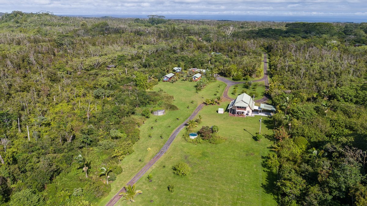 Puna Rainforest Hotspring Estate gallery image 3