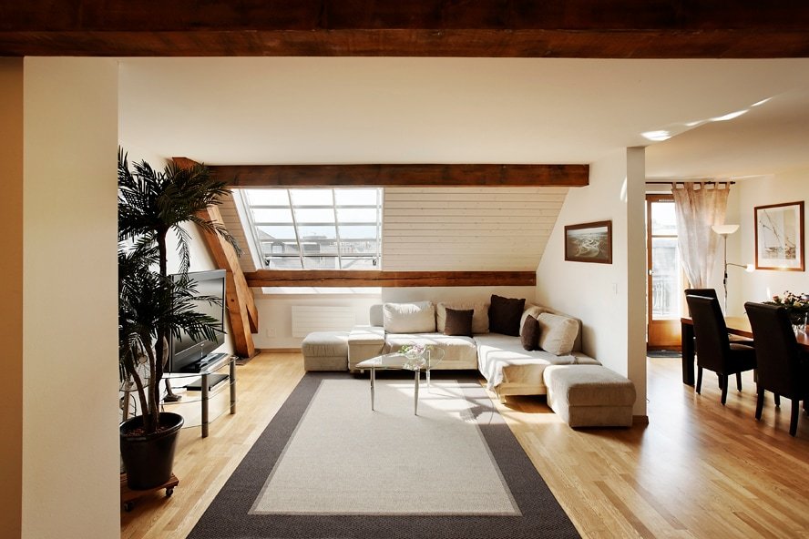 Geneva center, sunny 2 bedrooms, full AC gallery image 3