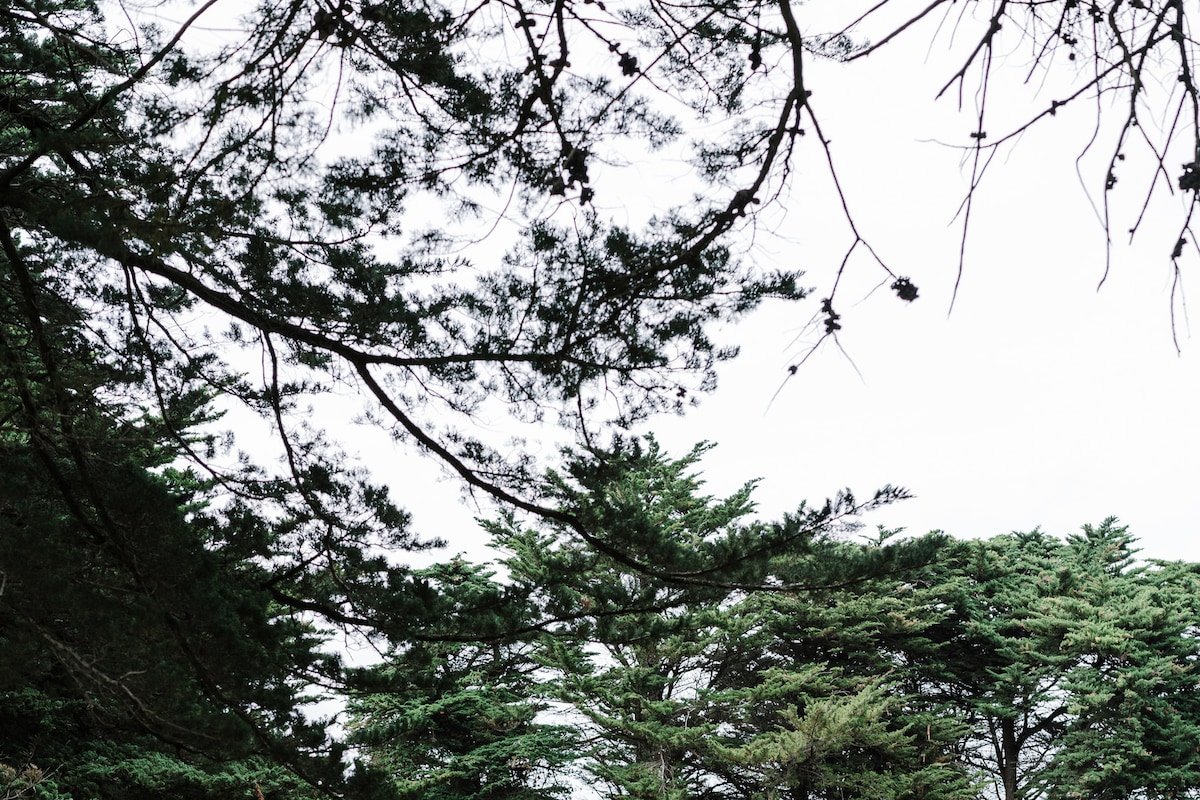 Longmeadow Estate gallery image 3