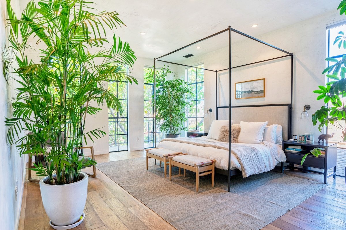 Designer family home in Venice Beach gallery image 3