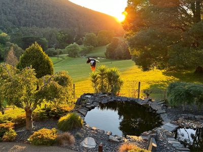 Warburton Valley&Golf Club View