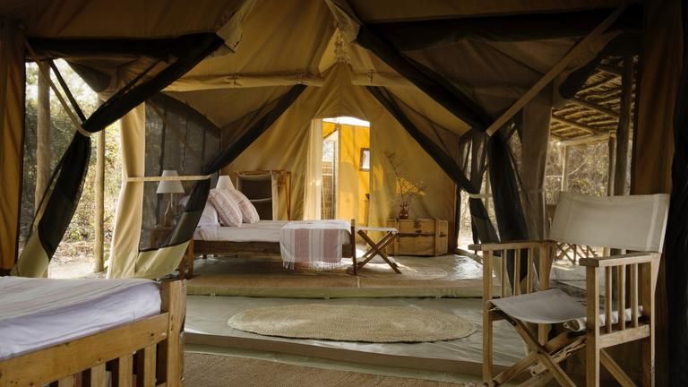 Kigelia Ruaha Family tent