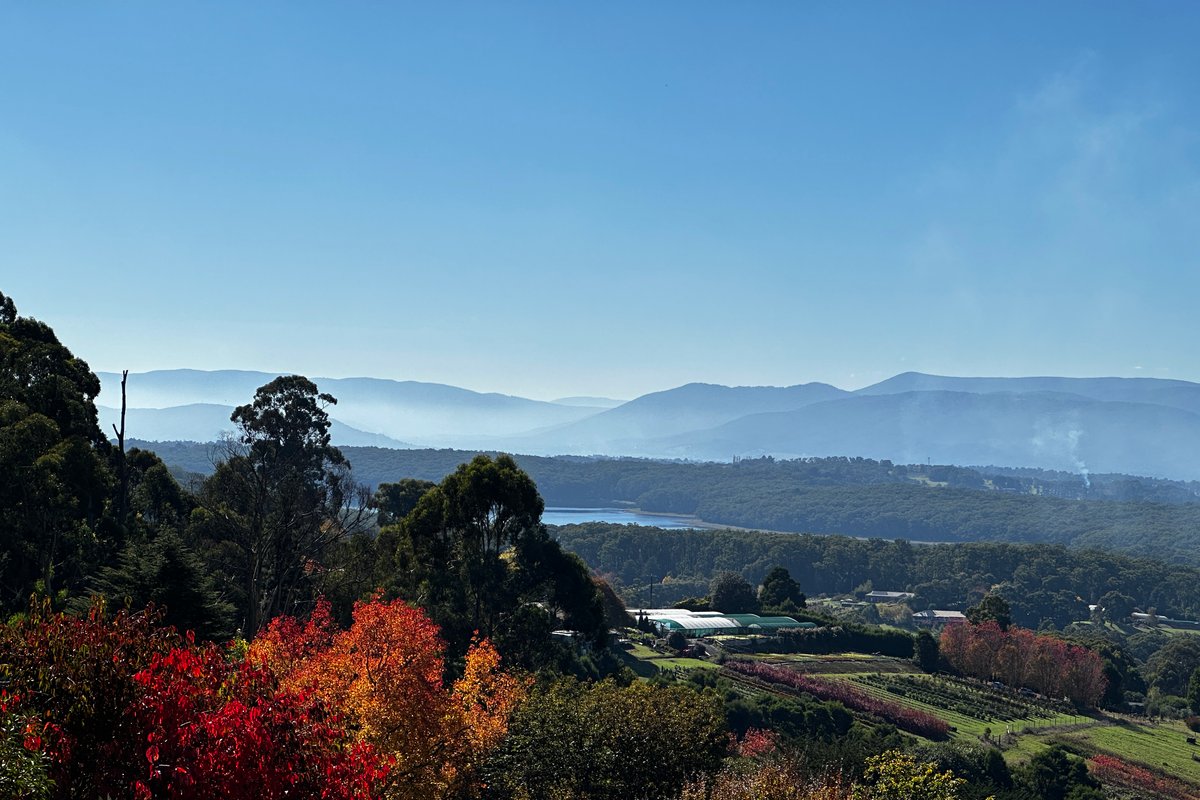 Camellia Waterfall Mountain View Retreat