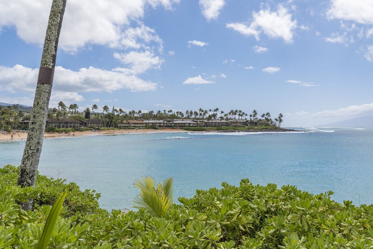 Napili Lani 315 — Awaits Seaside Serenity gallery image 3