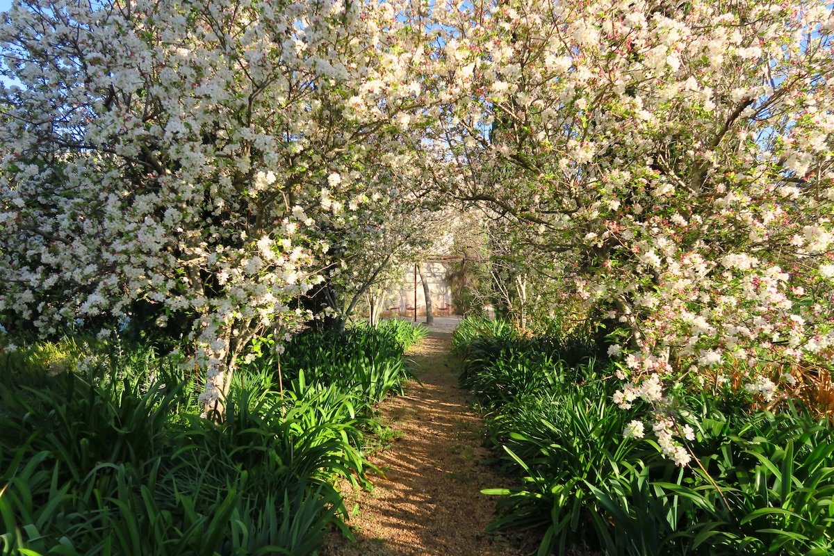 La Maritja Pollensa with beautiful garden and pool gallery image 4