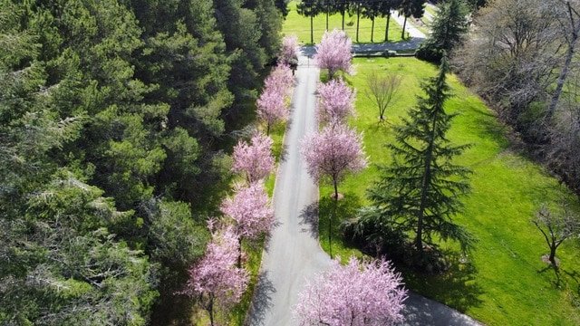 Escape to Spring Gate, A Private Garden Estate gallery image 3