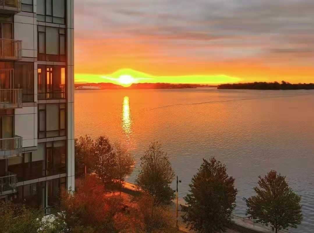 Luxury Executive Suite on the water with pools gallery image 2