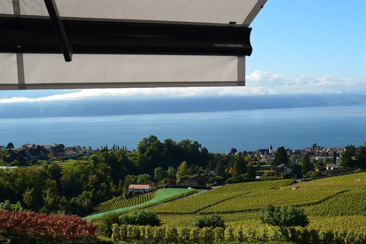 Villa de standing Le Haut des Vignes Lutry/Lavaux gallery image 4