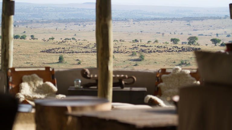 Migration viewing from camp